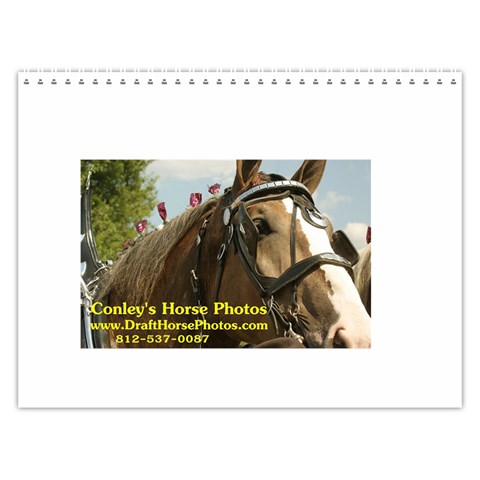 2011 Ryans Calendar  By Rick Conley Last Logo Page