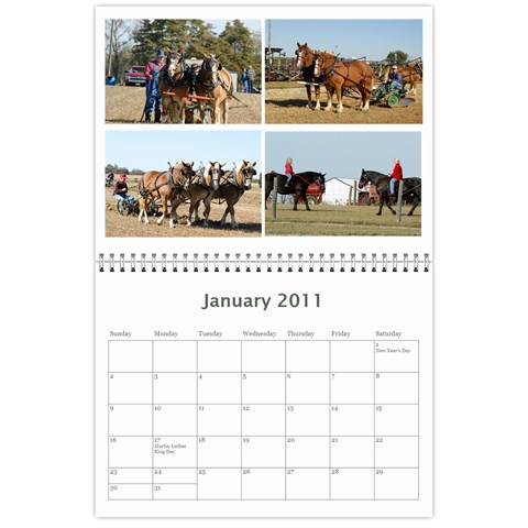 2010 Grooms Park By Rick Conley Jan 2011
