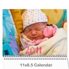 2011 Calendar - Wall Calendar 11  x 8.5  (12-Months)