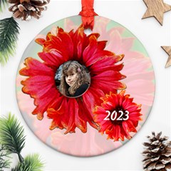 my garden ornament - Ornament (Round)