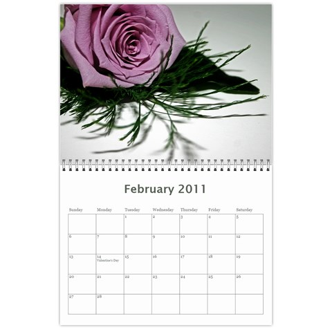 Carl s Calendar By Karen Feb 2011