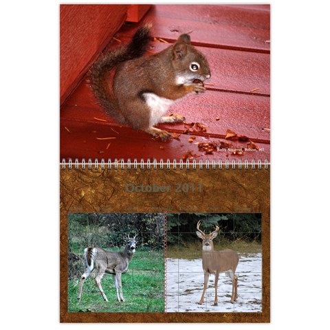Nw Montana 2011 Calendar By Wendi Giles Oct 2011