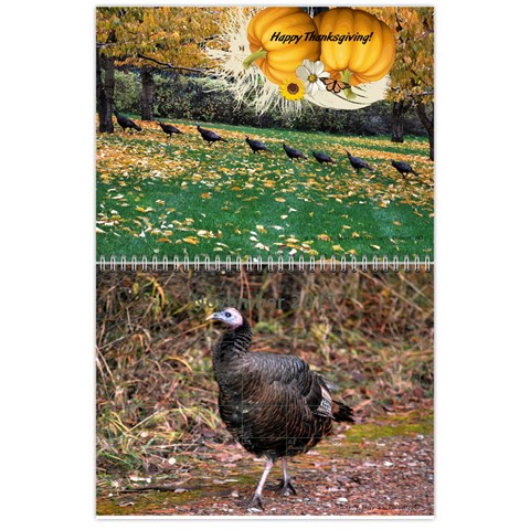 Nw Montana 2011 Calendar By Wendi Giles Nov 2011