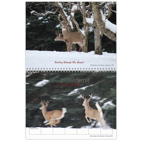 Nw Montana 2011 Calendar By Wendi Giles Dec 2011