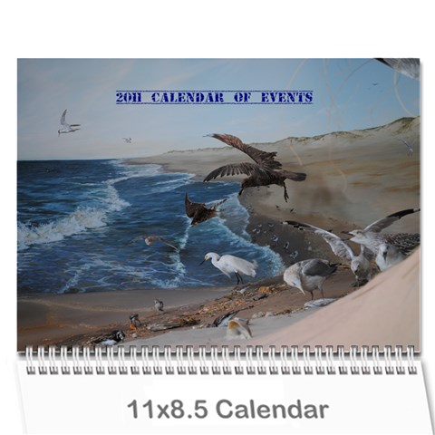 Denise s Calendar By Shawna Cover