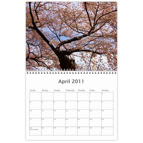 Test By Mandar Apr 2011
