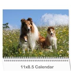 2011 calendar - Wall Calendar 11  x 8.5  (12-Months)