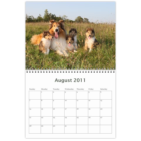 2011 Calendar By Dschroeder Arvig Net Aug 2011