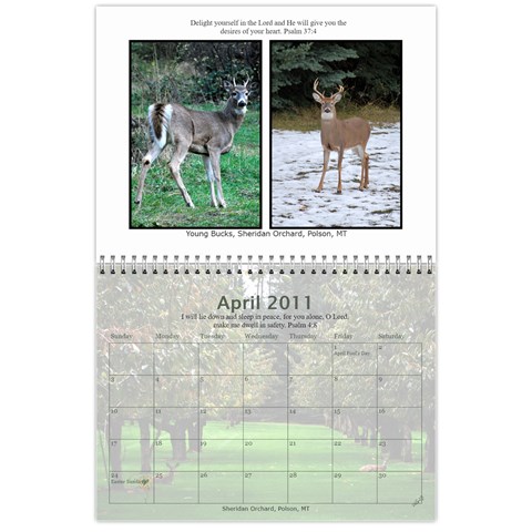 Nw Montana 2011 Calendar (gallery Praise Version) By Wendi Giles Apr 2011
