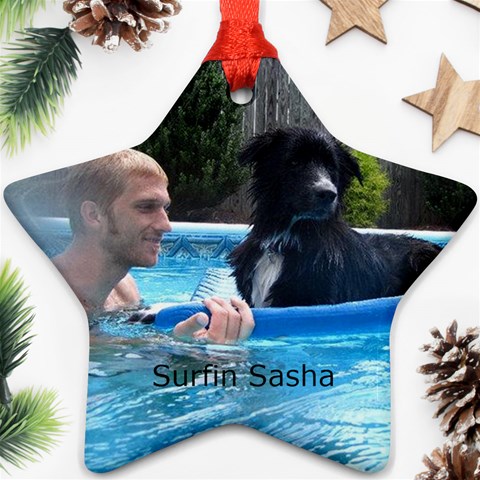 Surfin Sasha By Micki Ehrhardt Mccarl Front