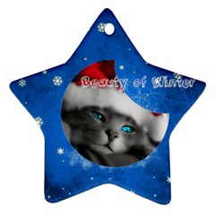 Beauty Winter - Ornament (Star)