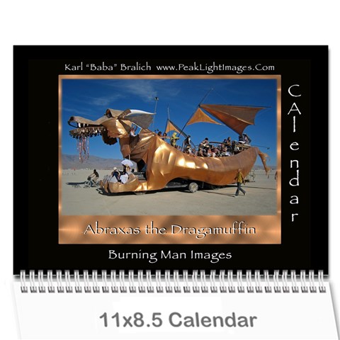 Burning Man Art And Cars 2011 By Karl Bralich Cover