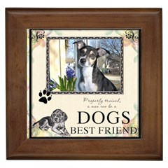 Dogs Best Friend Framed Tile