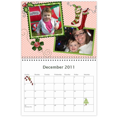 2011 General Dec 2011