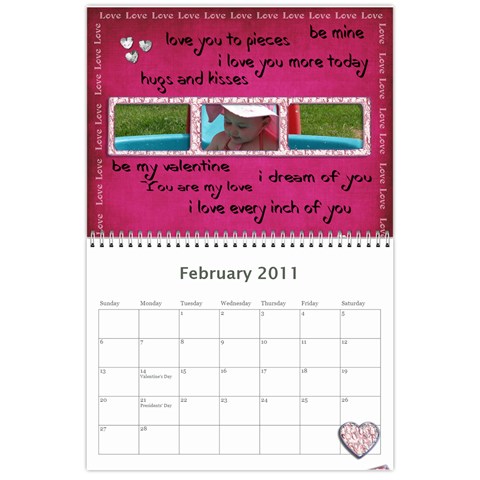 2011 General Feb 2011