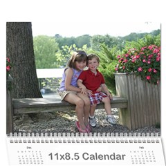 2011 Calendar (Nana) - Wall Calendar 11  x 8.5  (12-Months)