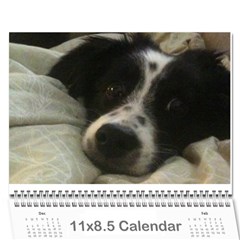 pokey - Wall Calendar 11  x 8.5  (12-Months)