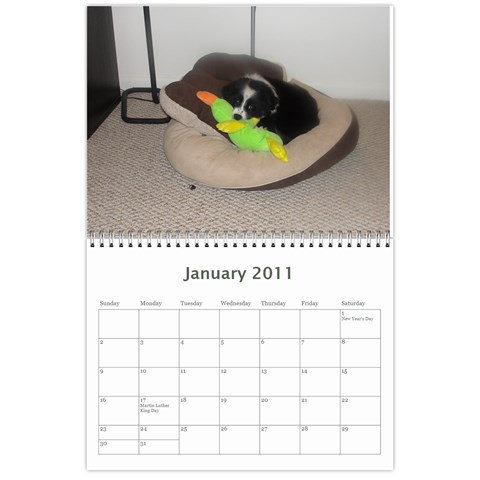 Pokey By Cheryl Jan 2011