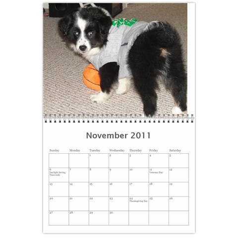 Pokey By Cheryl Nov 2011