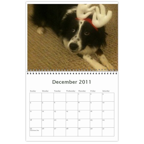 Pokey By Cheryl Dec 2011