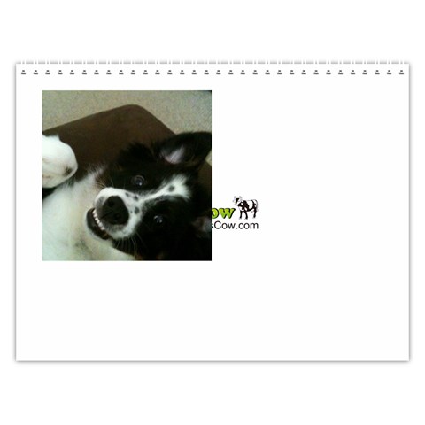 Pokey By Cheryl Last Logo Page