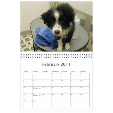Pokey By Cheryl Feb 2011