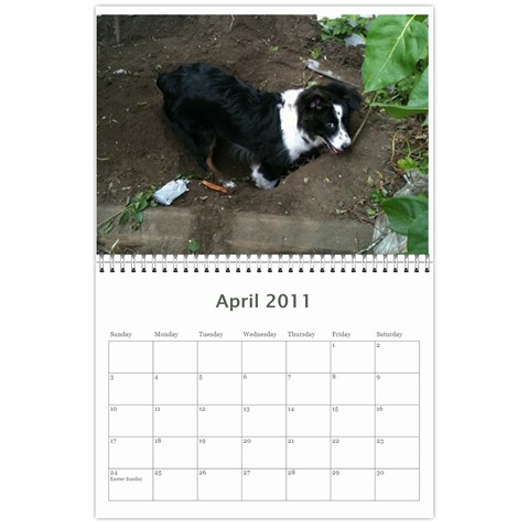 Pokey By Cheryl Apr 2011