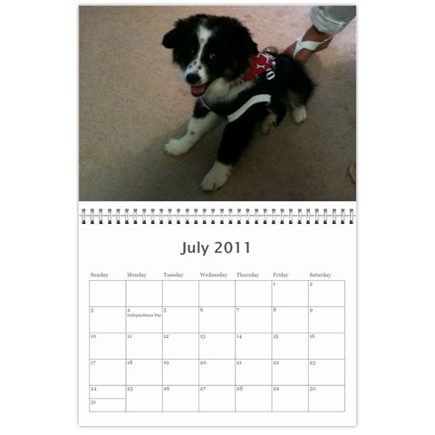 Pokey By Cheryl Jul 2011