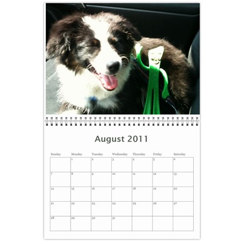 Pokey By Cheryl Aug 2011