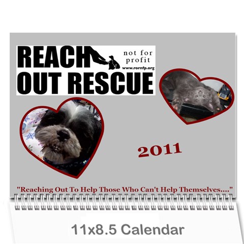Rescue Calander By Tracy Caccavella Cover