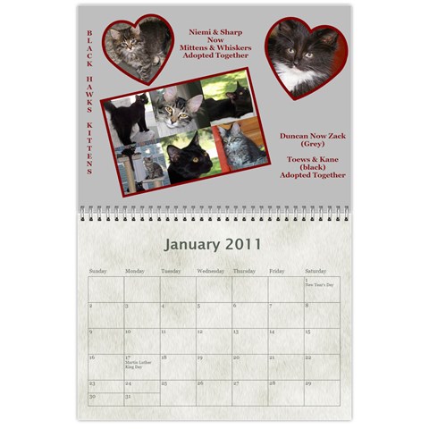 Rescue Calander By Tracy Caccavella Jan 2011