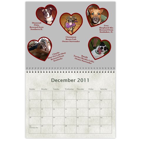 Rescue Calander By Tracy Caccavella Dec 2011