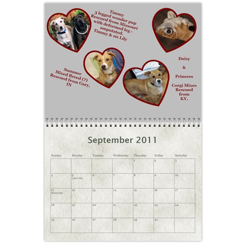 Rescue Calander By Tracy Caccavella Sep 2011