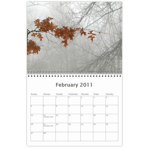 Mom s Calendar101218 By David Kaplan Feb 2011