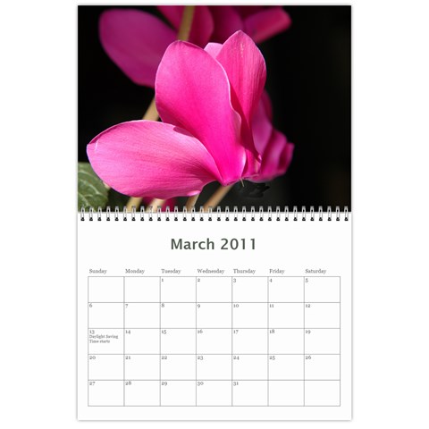 Mom s Calendar101218 By David Kaplan Mar 2011