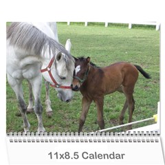 Bob s Calendar 2011 - Wall Calendar 11  x 8.5  (12-Months)