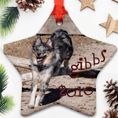 Gibbs Ornament By Katie Front