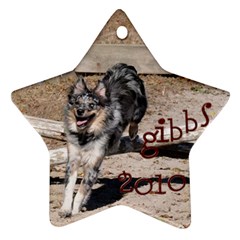 Gibbs Ornament - Star Ornament (Two Sides)