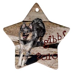 Gibbs Ornament - Star Ornament (Two Sides)