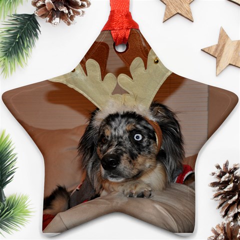 Gibbs Ornament By Katie Back