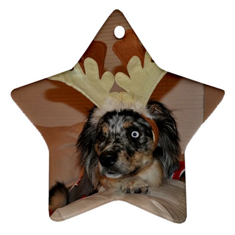 Gibbs Ornament By Katie Back