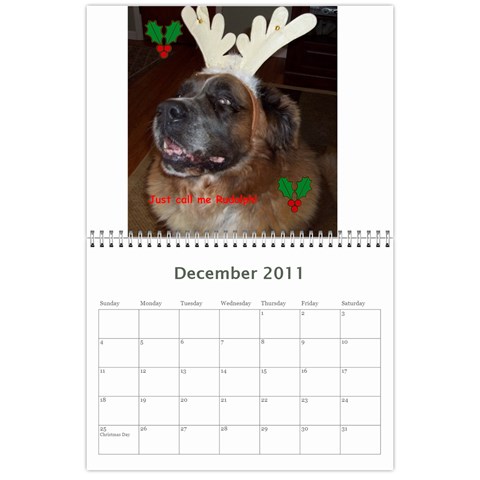 Daisy Calendar By Dianna Cook Dec 2011