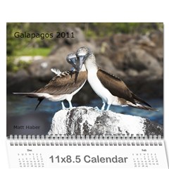 Galapagos 2011 Calendar - Wall Calendar 11  x 8.5  (12-Months)