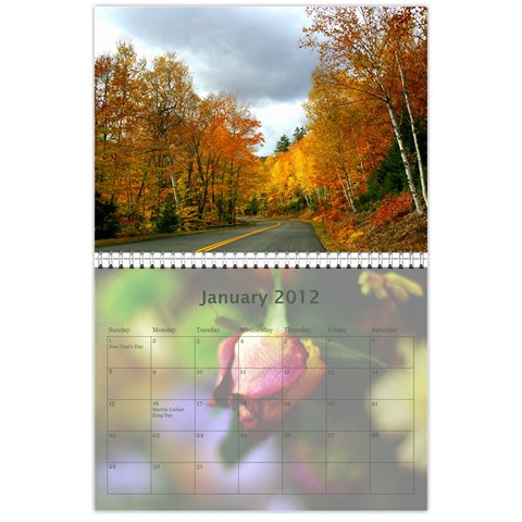 2011 Calendar Design#2 By Lisi Cai Jan 2012