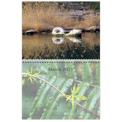 2011 Calendar Design#2 By Lisi Cai Mar 2011