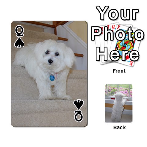 Queen Playing Cards With Snowy s Photos By Xinpei Front - SpadeQ