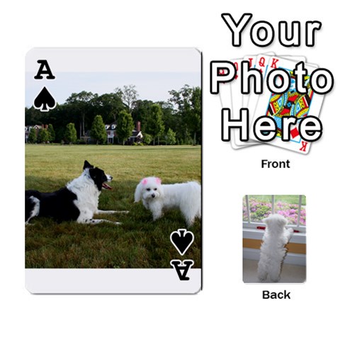 Ace Playing Cards With Snowy s Photos By Xinpei Front - SpadeA