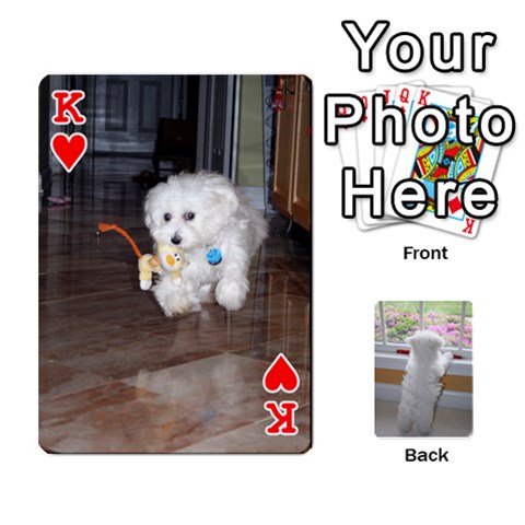 King Playing Cards With Snowy s Photos By Xinpei Front - HeartK