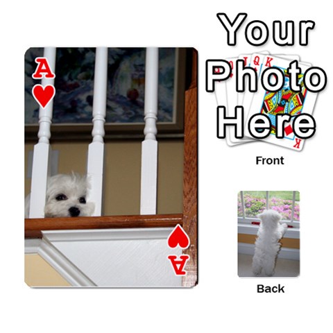 Ace Playing Cards With Snowy s Photos By Xinpei Front - HeartA