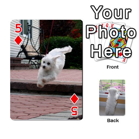 Playing Cards With Snowy s Photos By Xinpei Front - Diamond5
